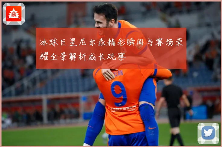 冰球巨星尼尔森精彩瞬间与赛场荣耀全景解析成长观察